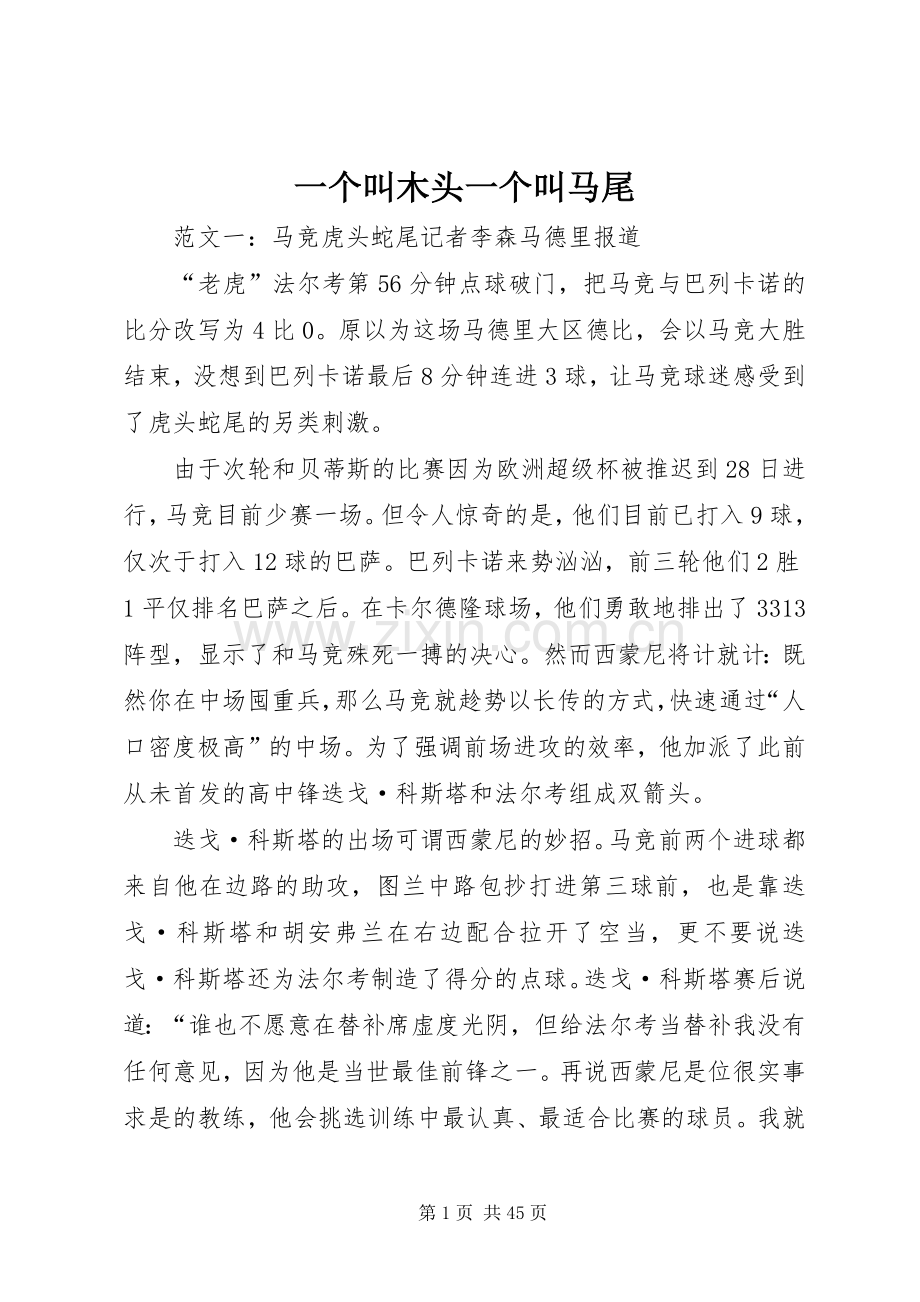 一个叫木头一个叫马尾.docx_第1页