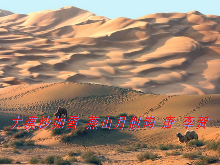 在沙漠中心-课件.ppt_第2页