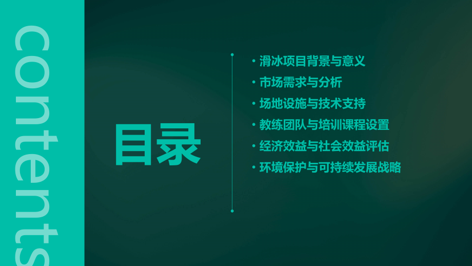 关于滑冰可行性报告.pptx_第2页