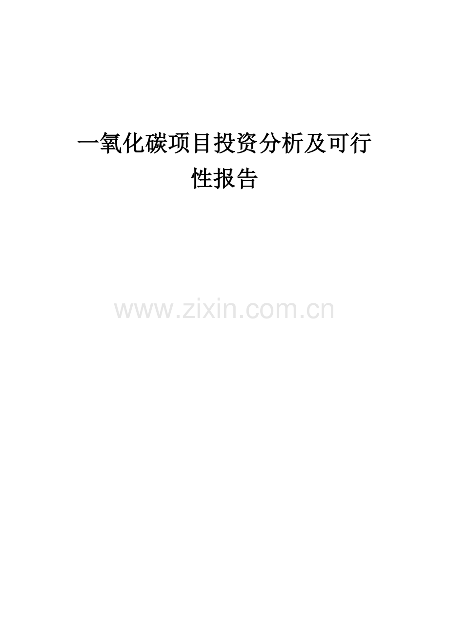 一氧化碳项目投资分析及可行性报告.docx_第1页