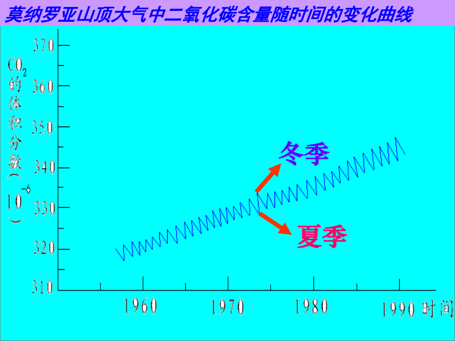 化学：大自然中的二氧化碳课件（鲁教版九年级）.ppt_第2页