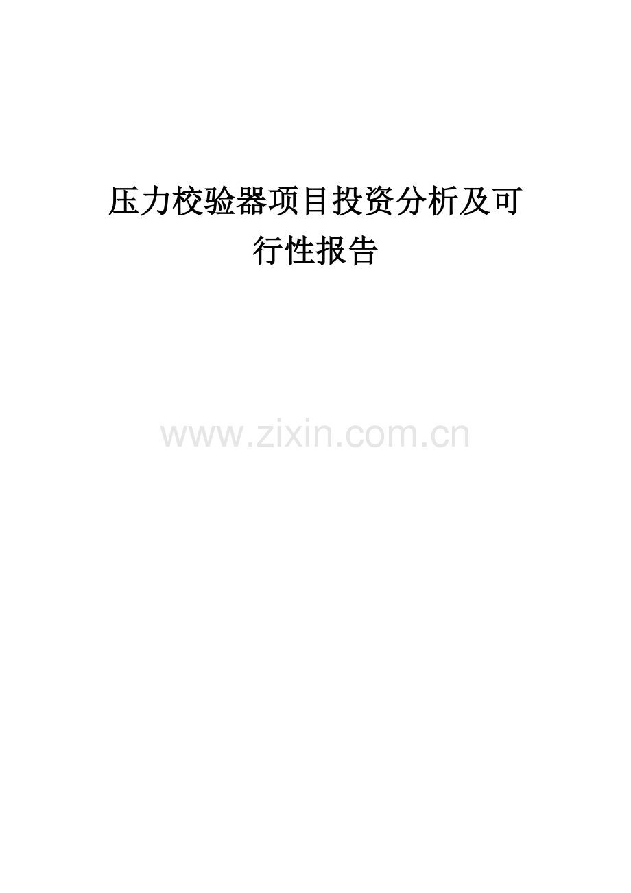 压力校验器项目投资分析及可行性报告.docx_第1页