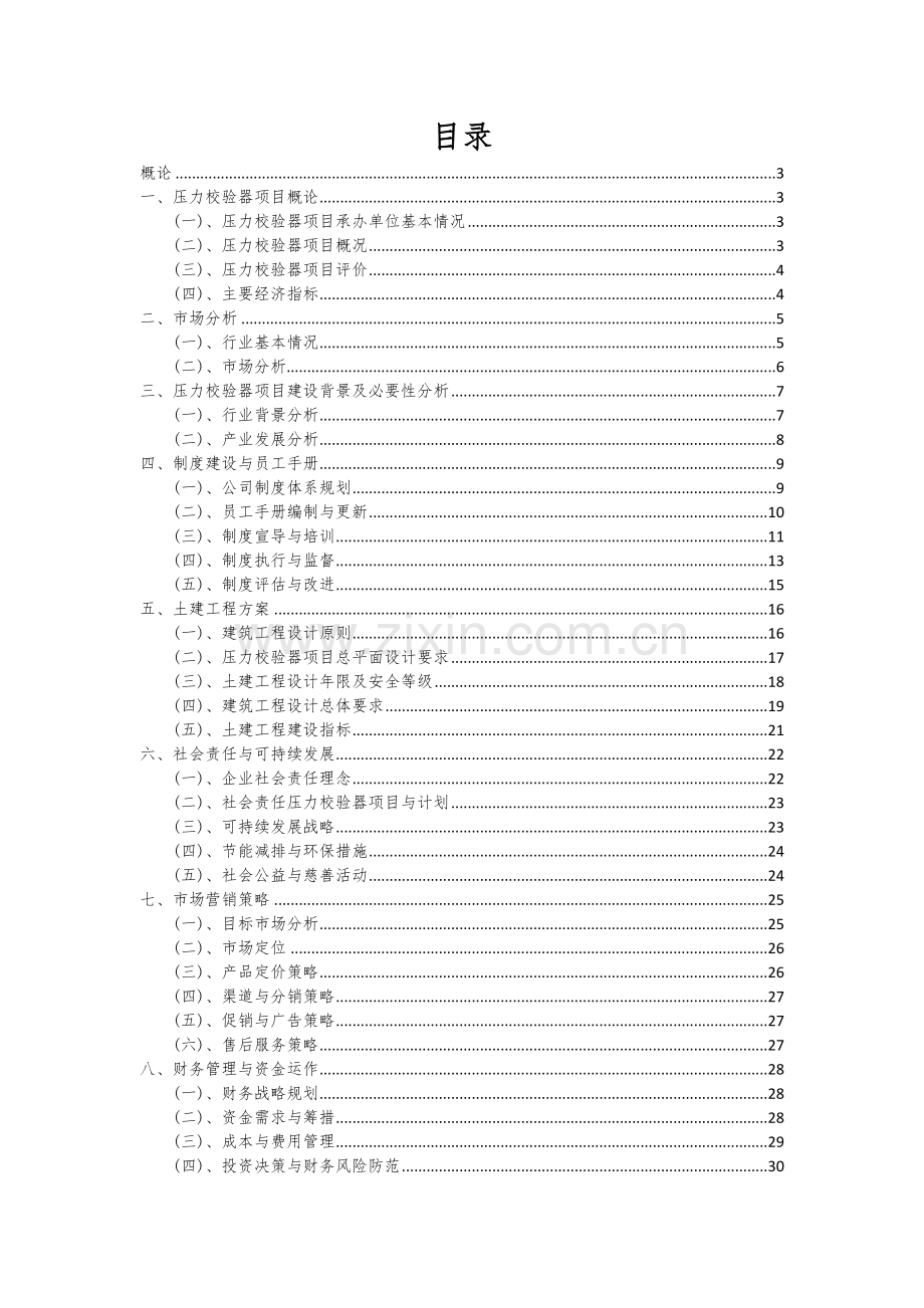 压力校验器项目投资分析及可行性报告.docx_第2页