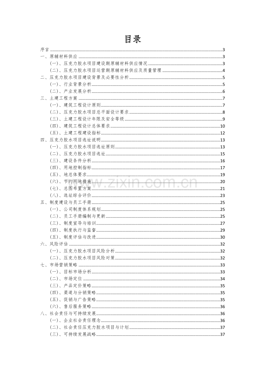 压克力胶水项目可行性研究报告.docx_第2页