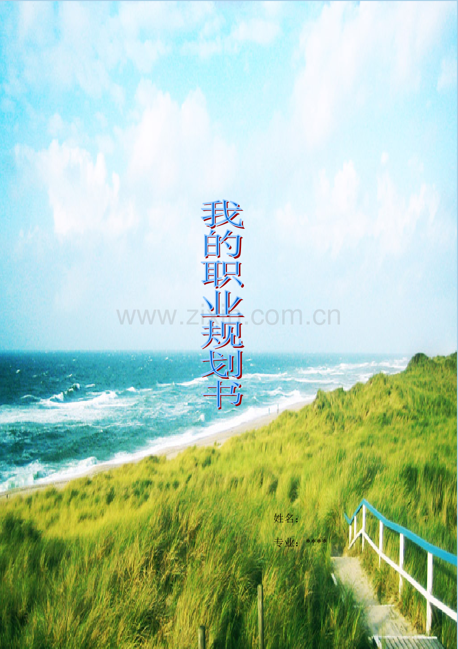 职业规划大赛作品模板.docx_第1页