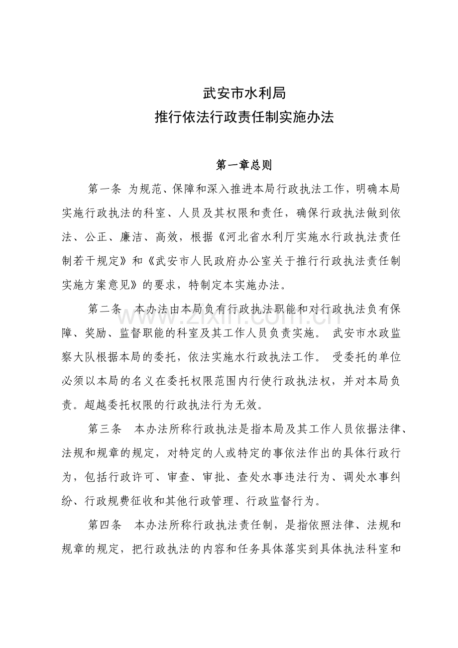 推行依法行政责任制实施办法(试行).docx_第1页