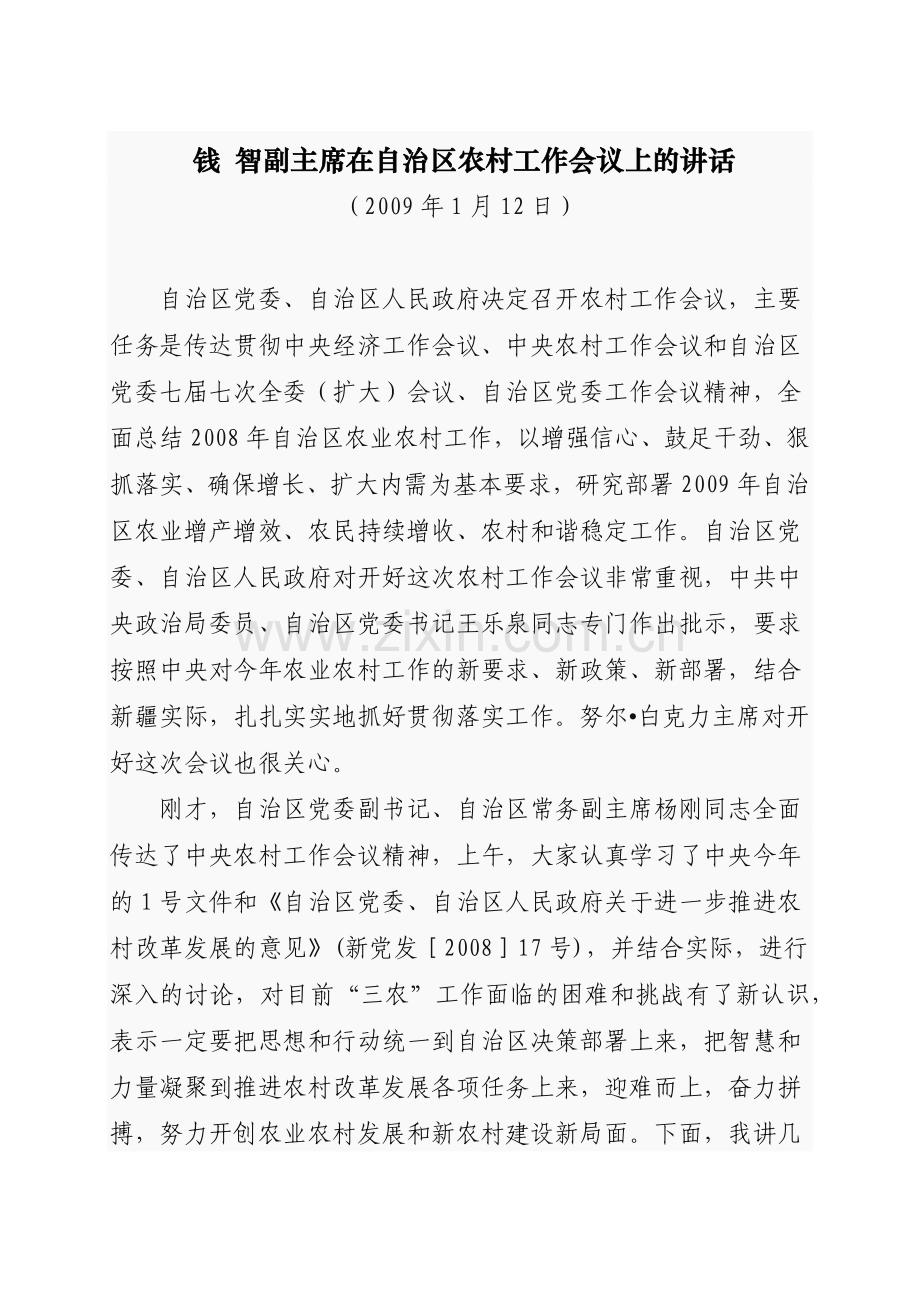 智副主席在自治区农村工作会议上的讲话.docx_第1页