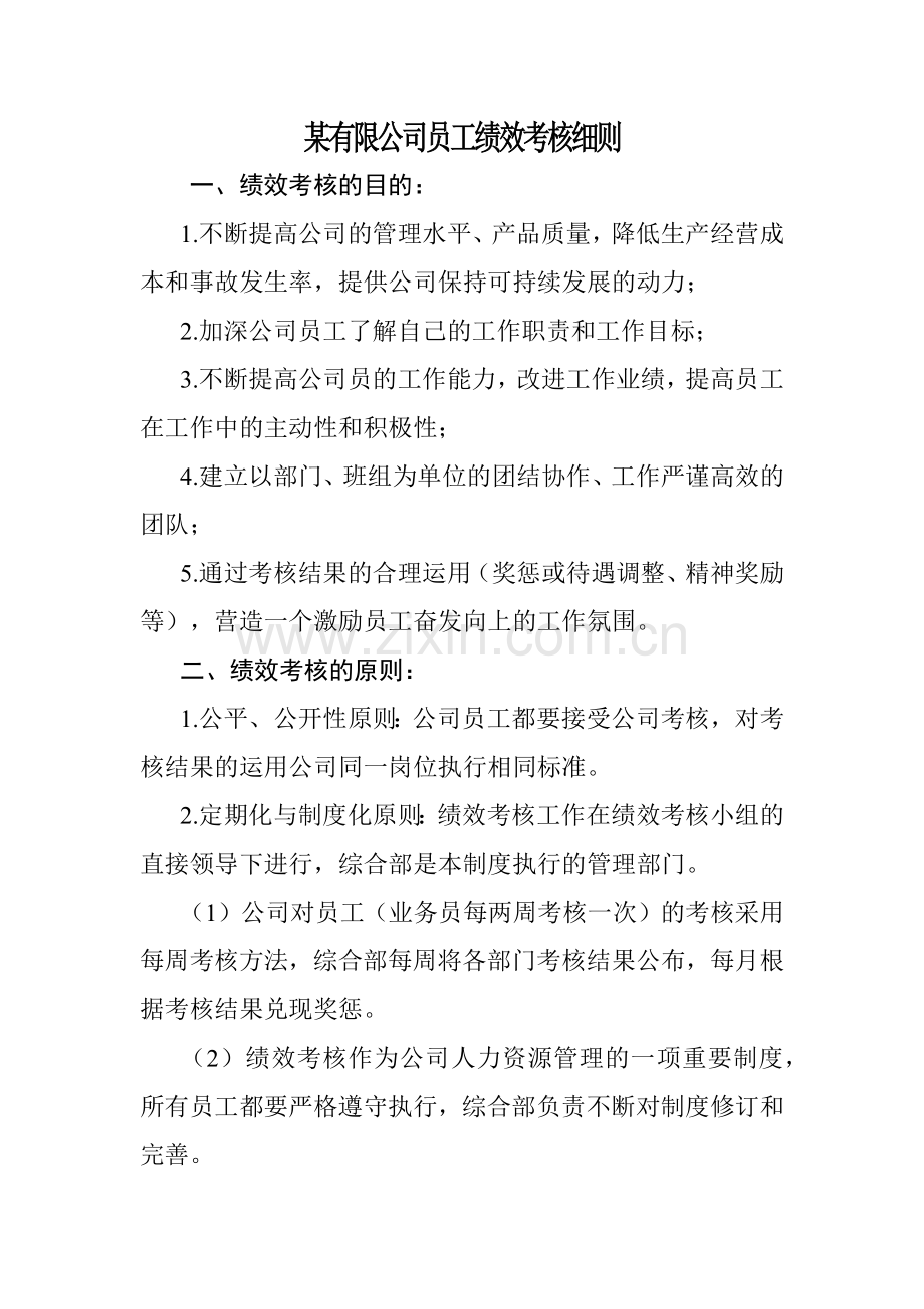 某有限公司员工绩效考核细则.docx_第1页