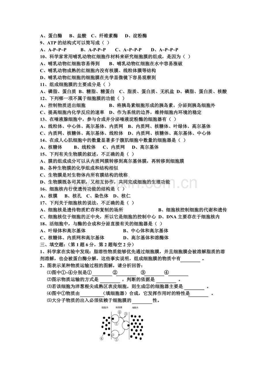 高一生物练考题.doc_第2页