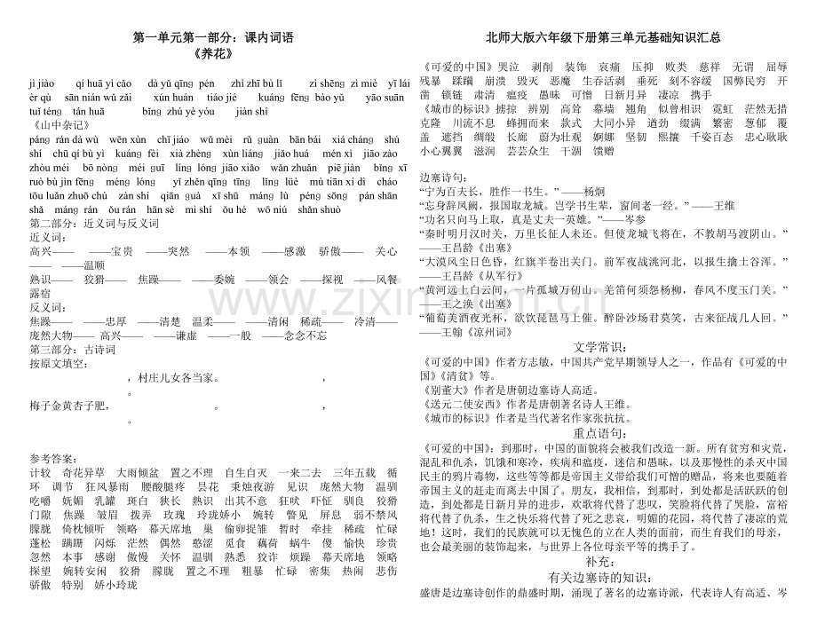 北师大版六年级下册基础知识汇总.doc_第1页