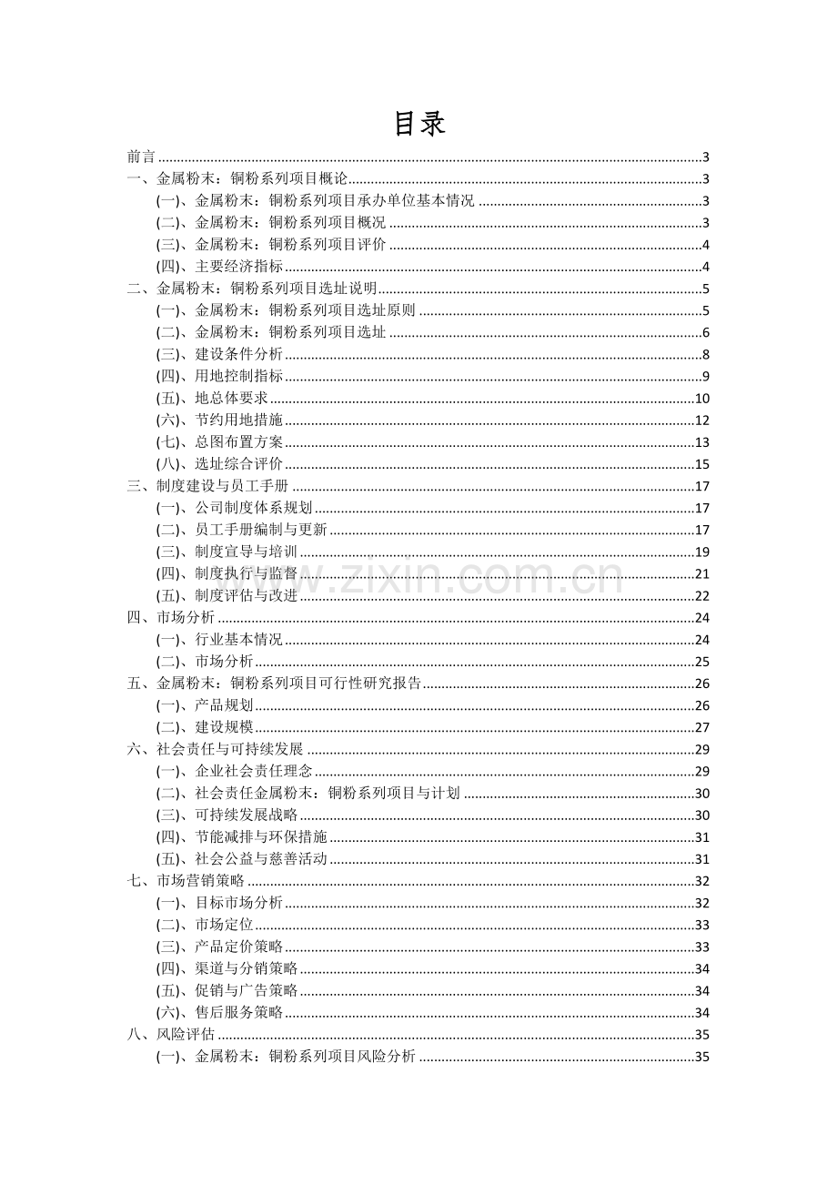 金属粉末：铜粉系列项目可行性研究报告.docx_第2页