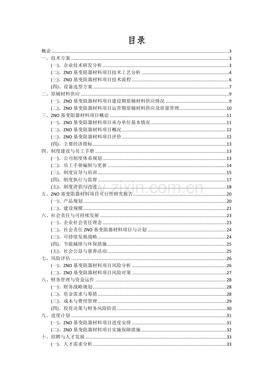ZNO基变阻器材料项目投资分析及可行性报告.docx_第2页