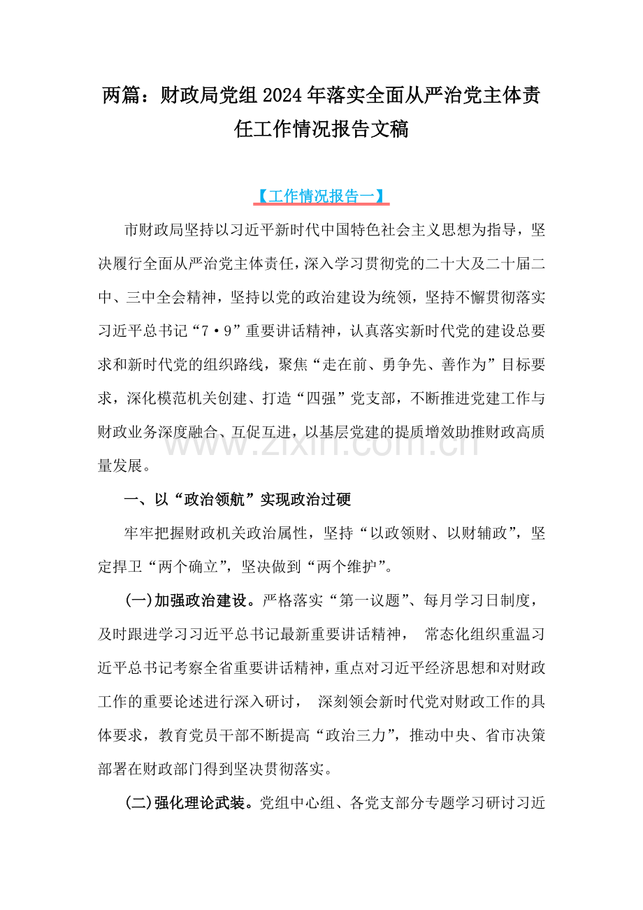 两篇：财政局党组2024年落实全面从严治党主体责任工作情况报告文稿.docx_第1页