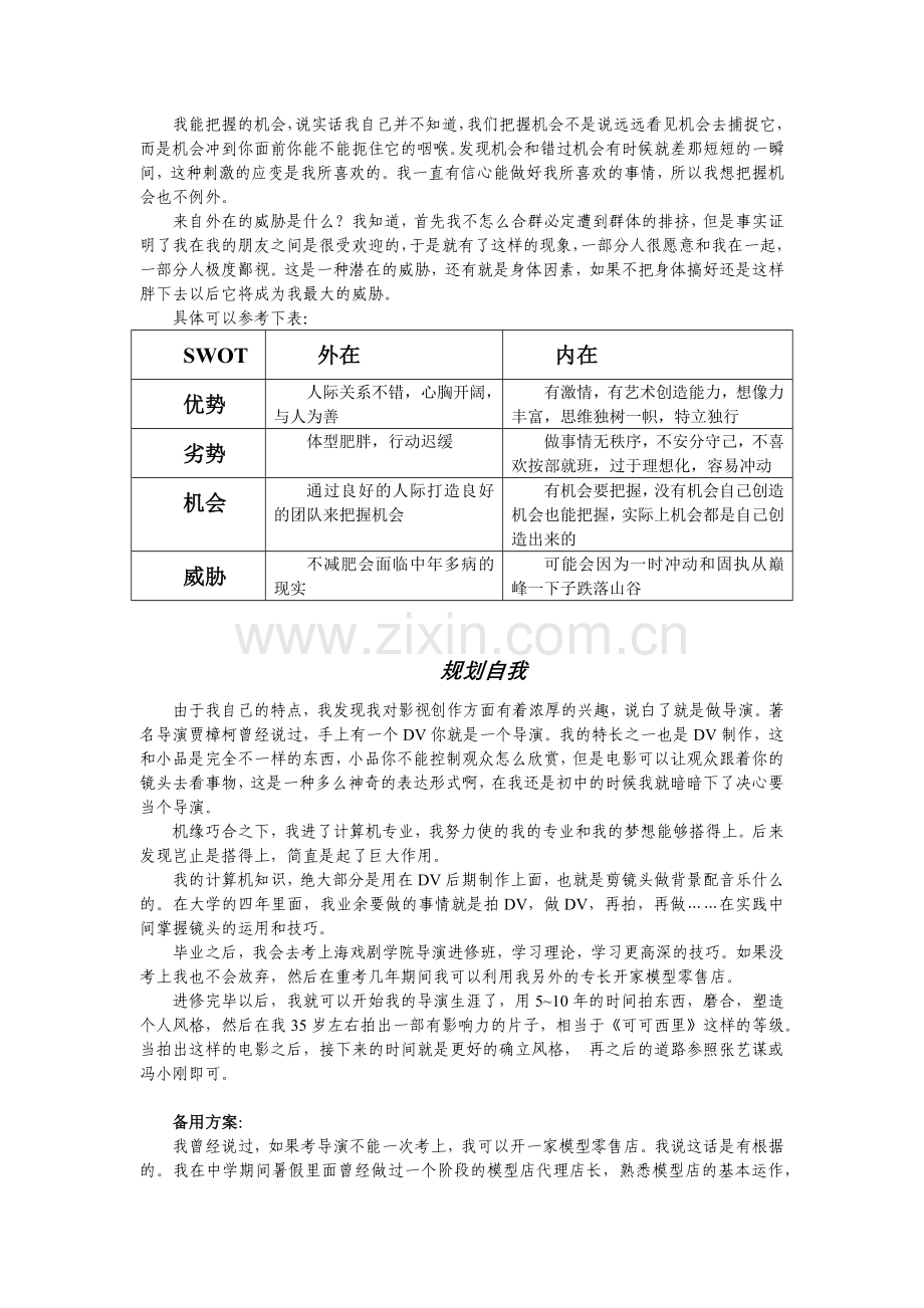 职业生涯设计方案.docx_第2页