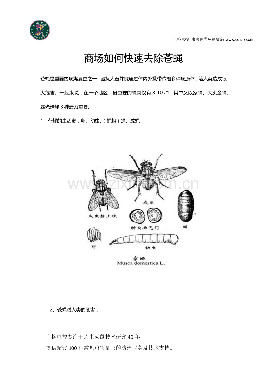 商场如何快速去除苍蝇.docx_第1页