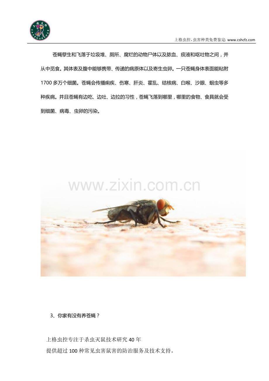 商场如何快速去除苍蝇.docx_第2页