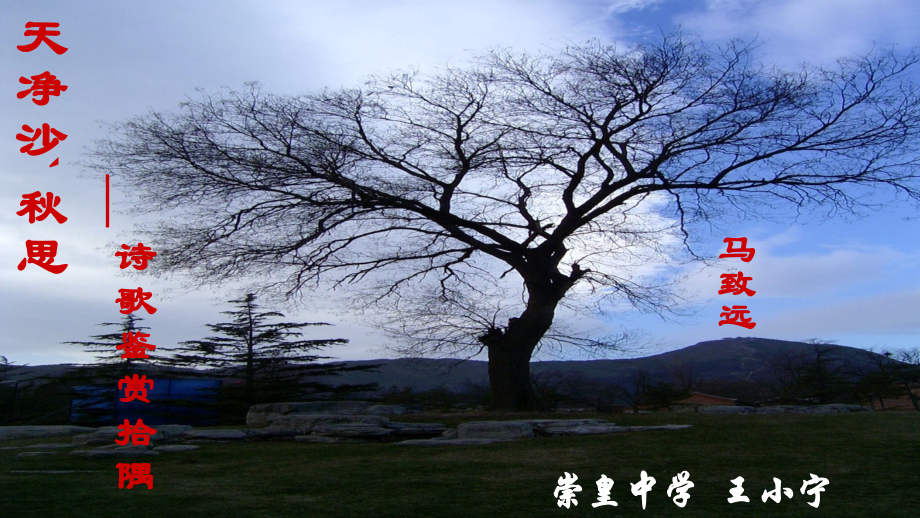 天净沙`秋思.pptx_第1页