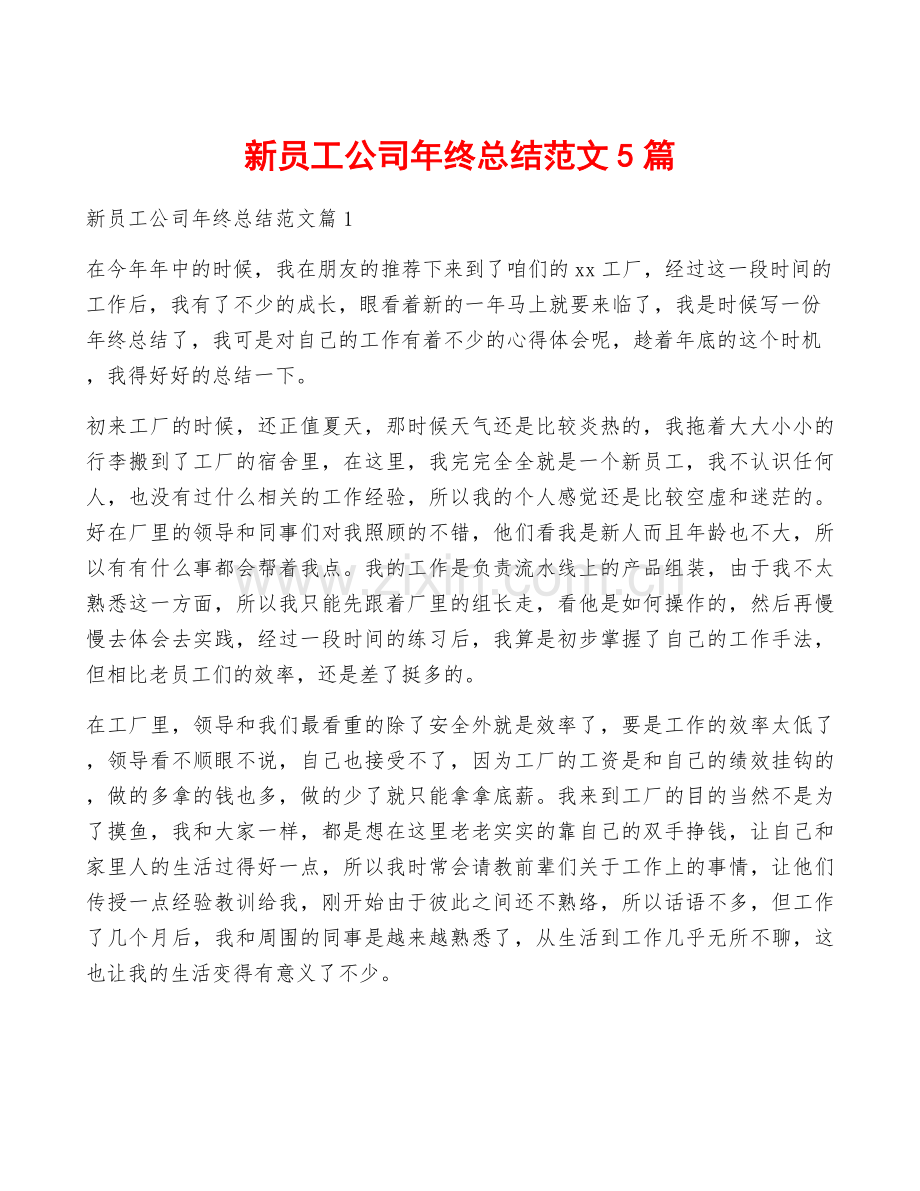 新员工公司年终总结范文5篇.docx_第1页