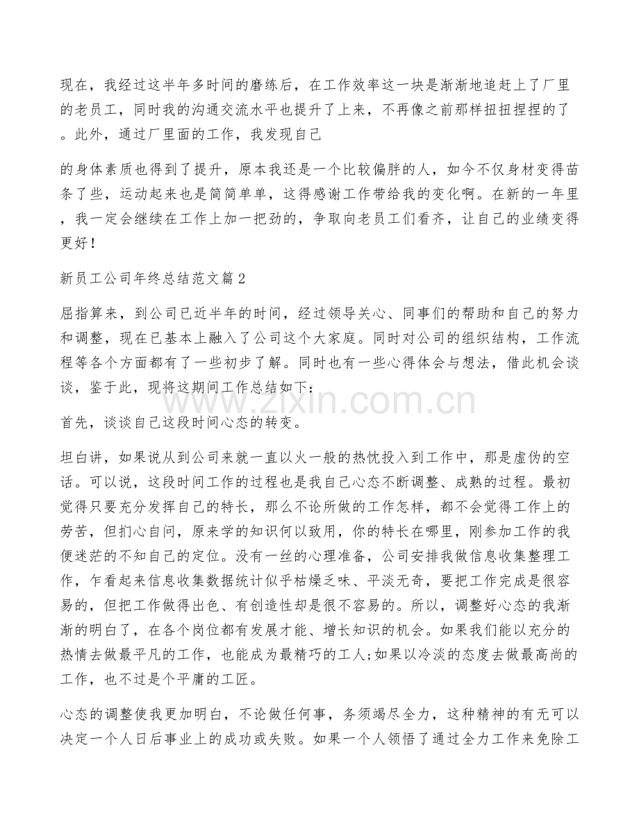 新员工公司年终总结范文5篇.docx_第2页