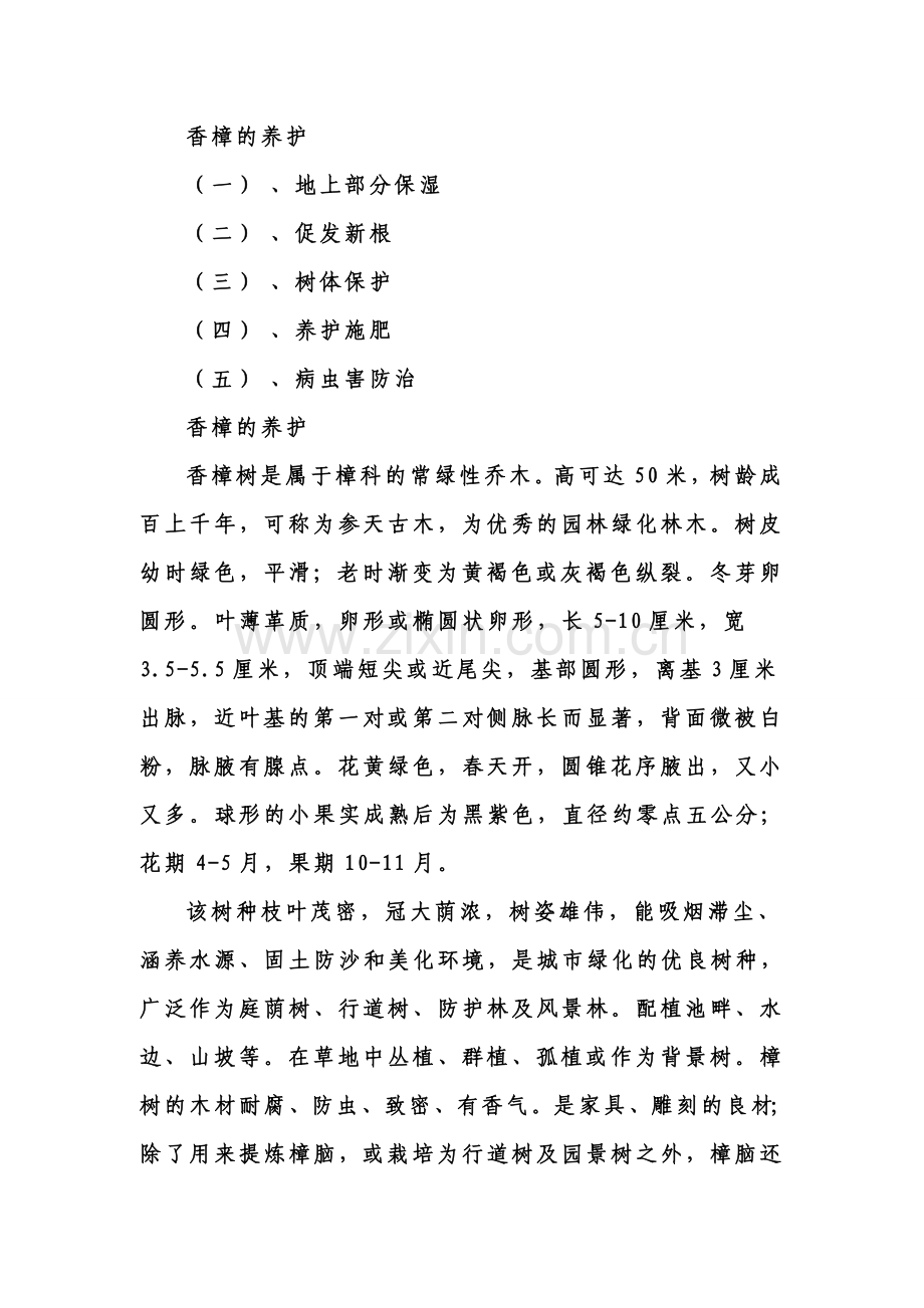 香樟的养护及病虫害防治.doc_第1页