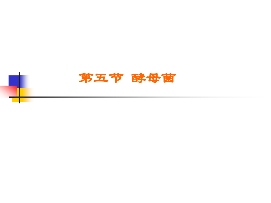 第三章 酵母菌.ppt_第1页