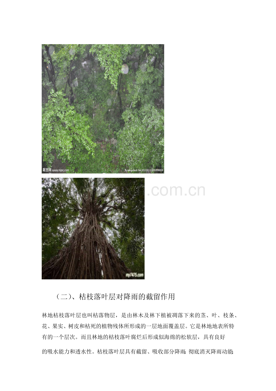 水土保持林业措施.docx_第2页