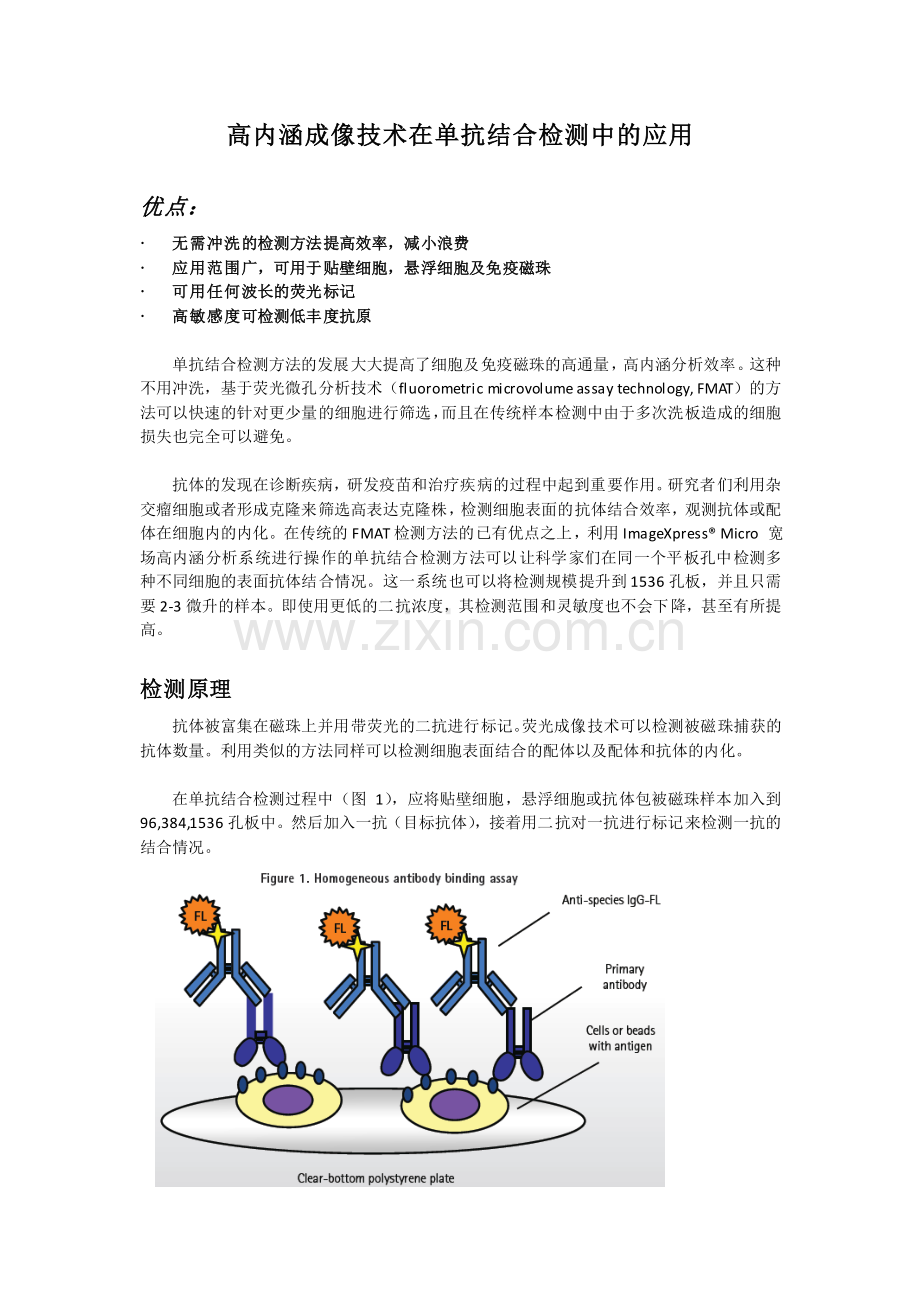 产品应用(1)-高内涵成像技术在单抗结合检测中的应用(Molecular Devices).pdf_第1页