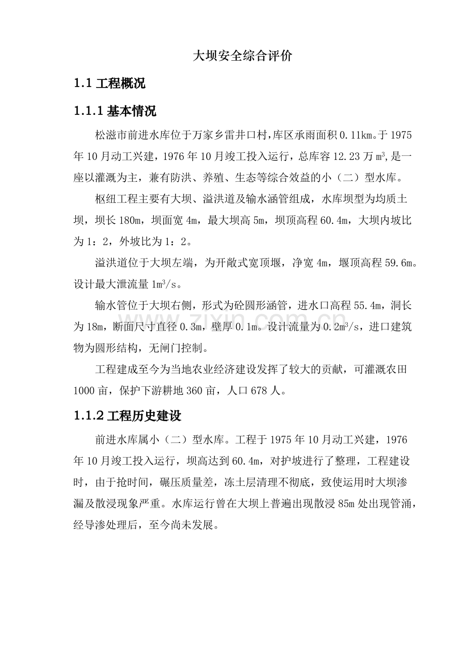大坝安全综合评价（49页）.docx_第1页