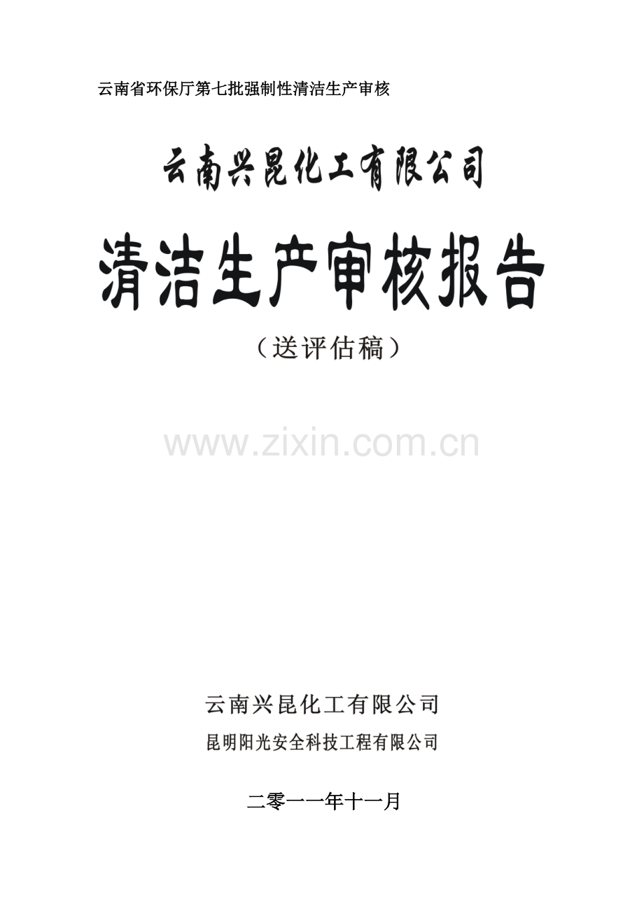 化工公司清洁生产审核报告.docx_第1页