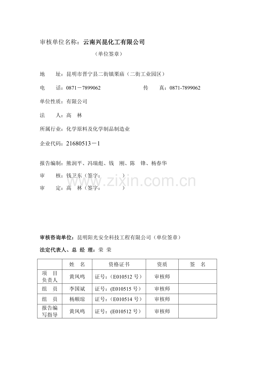化工公司清洁生产审核报告.docx_第2页