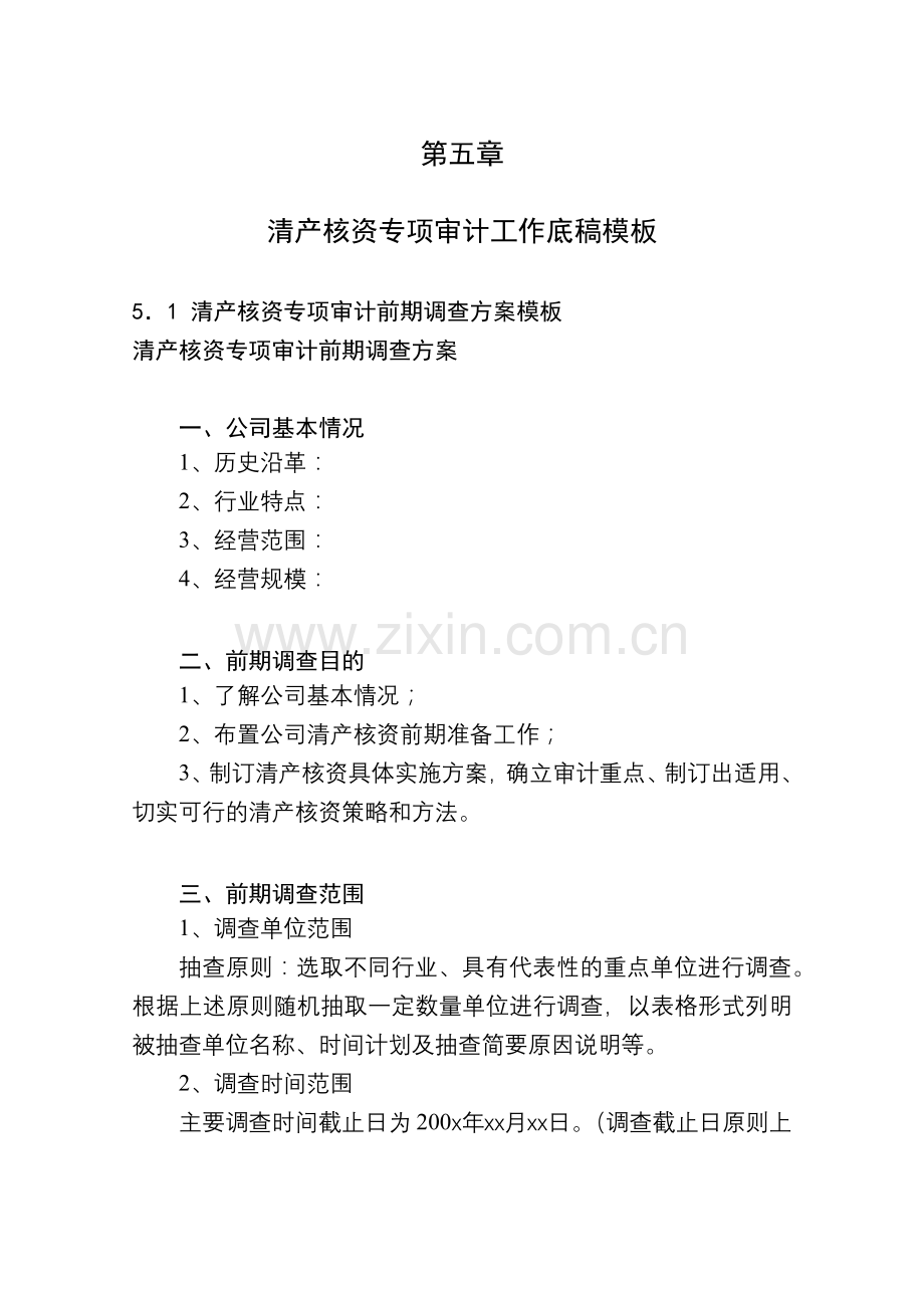 清产核资专项审计计划底稿模板.docx_第1页