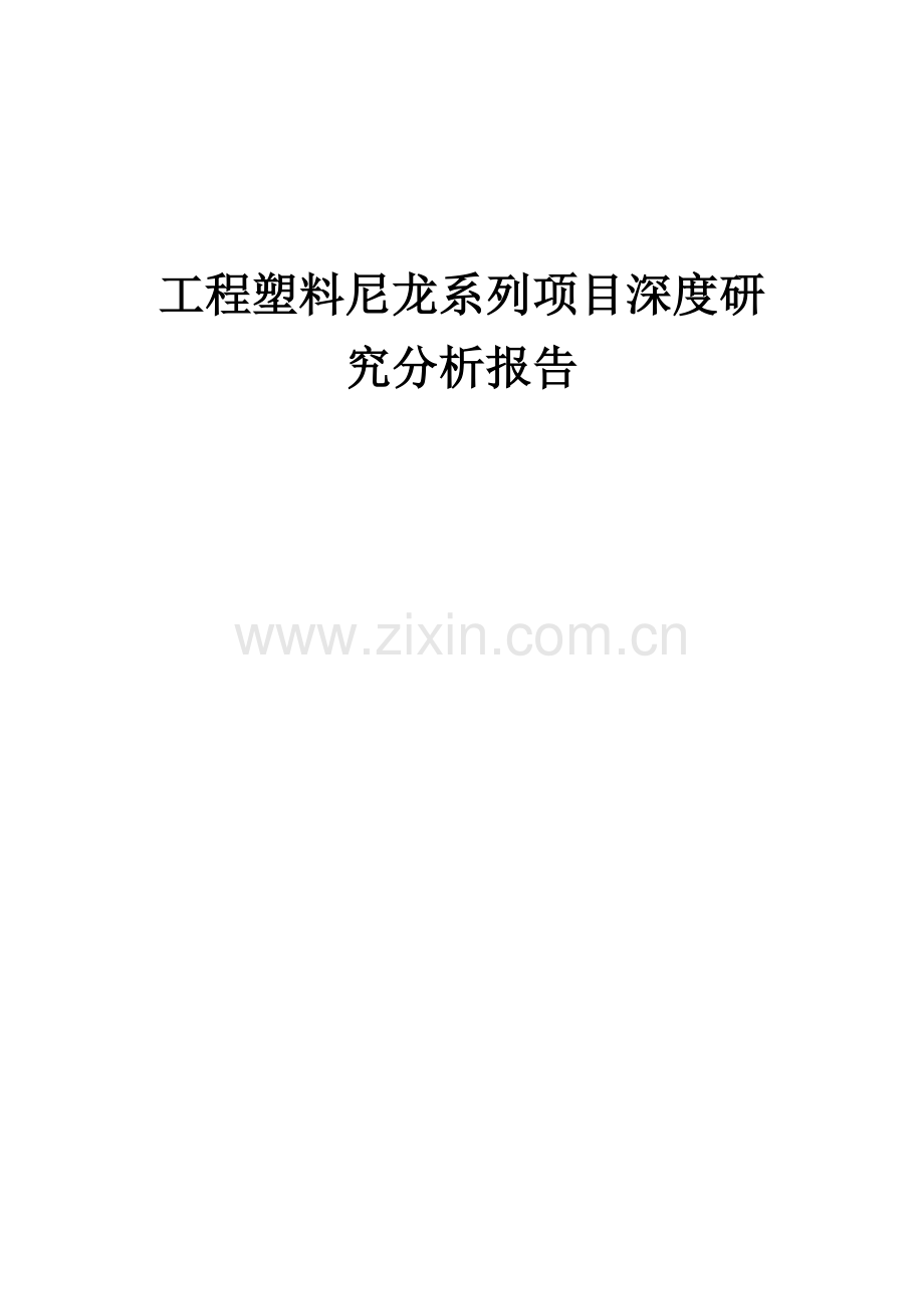 工程塑料尼龙系列项目深度研究分析报告.docx_第1页