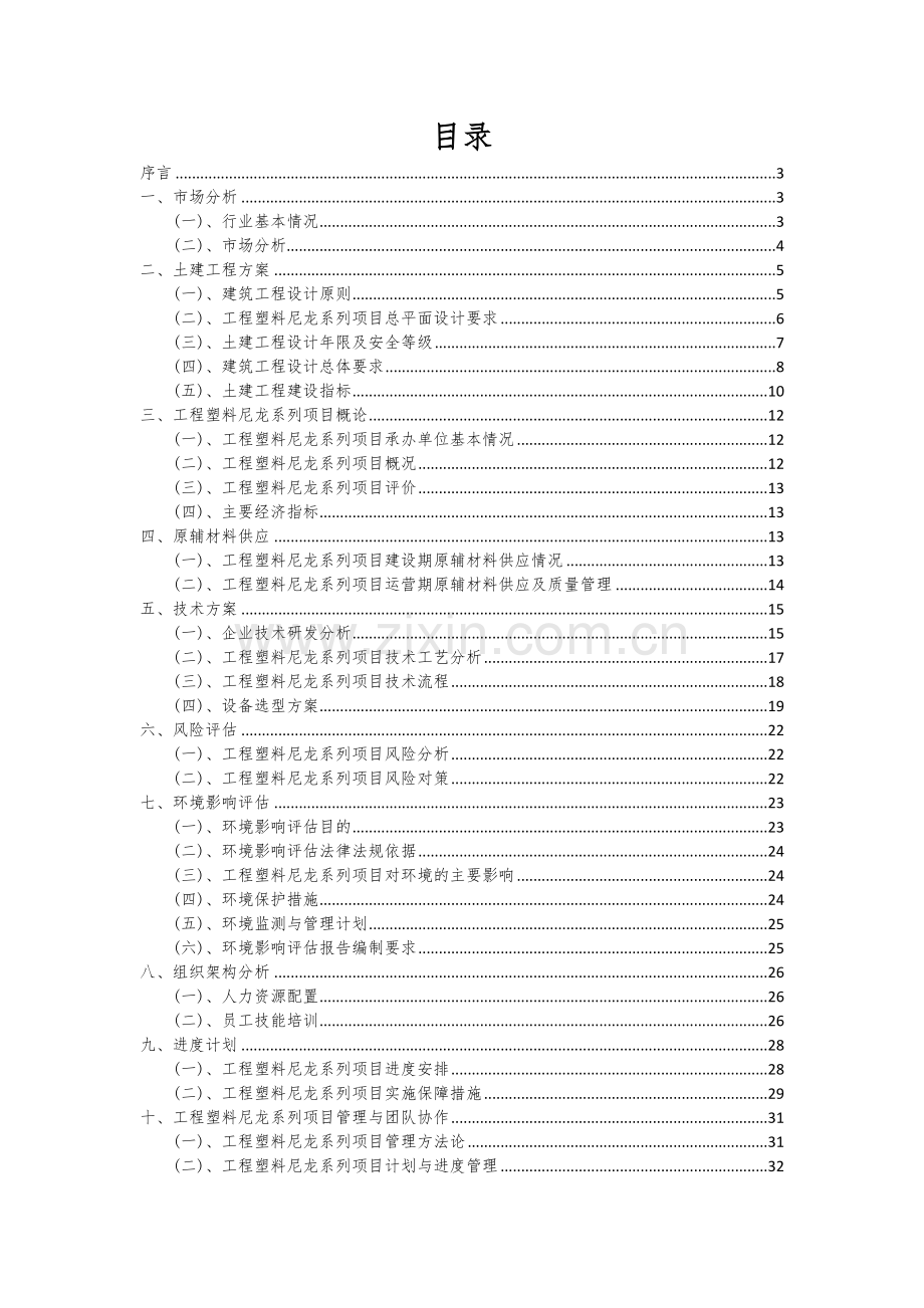 工程塑料尼龙系列项目深度研究分析报告.docx_第2页