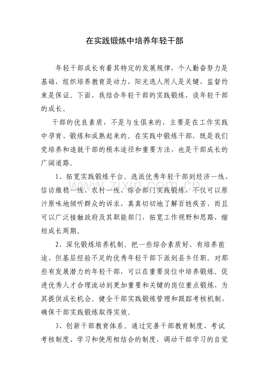 在实践锻炼中培养年轻干部.doc_第1页