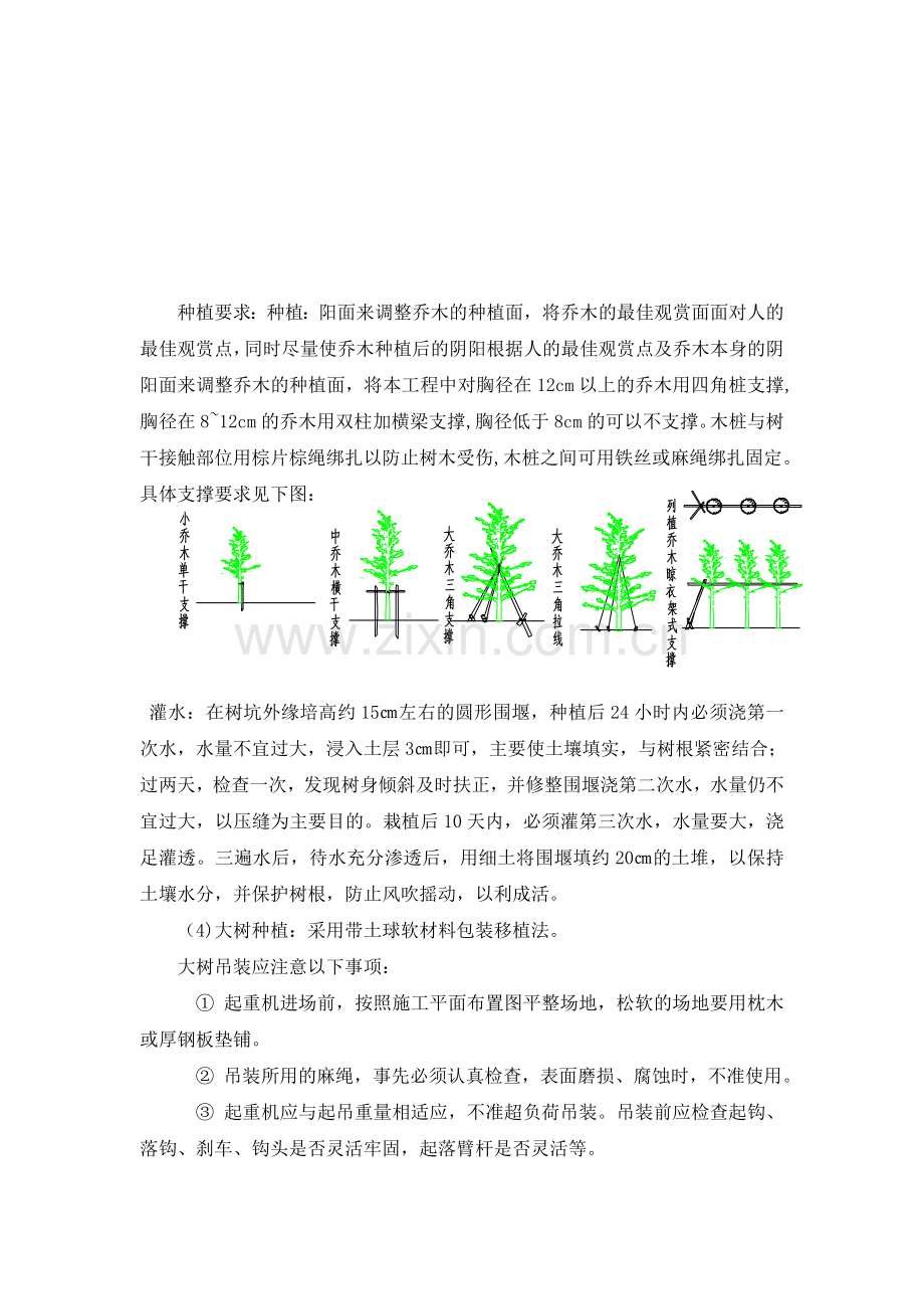 公园绿化种植施工技术方案.doc_第2页