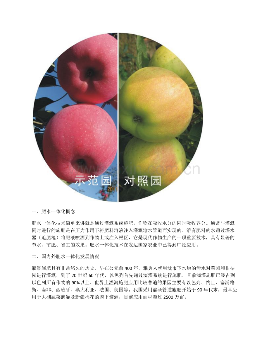 果园水肥一体化.docx_第2页