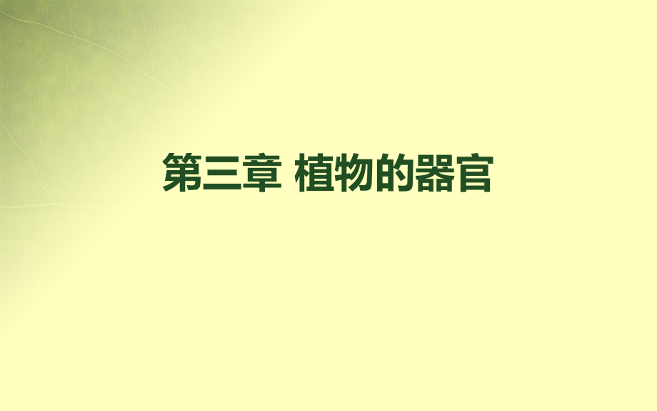 植物的器官-根.pptx_第2页