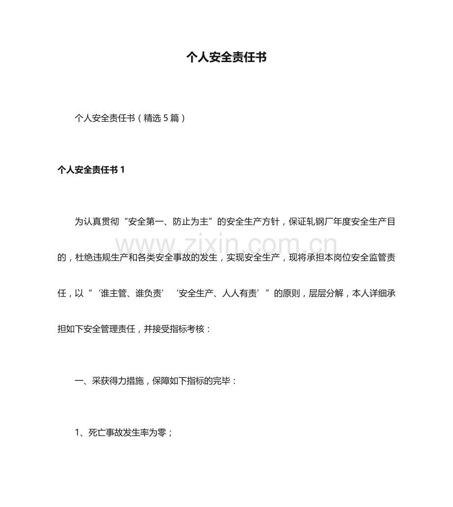 个人安全责任书.docx_第1页
