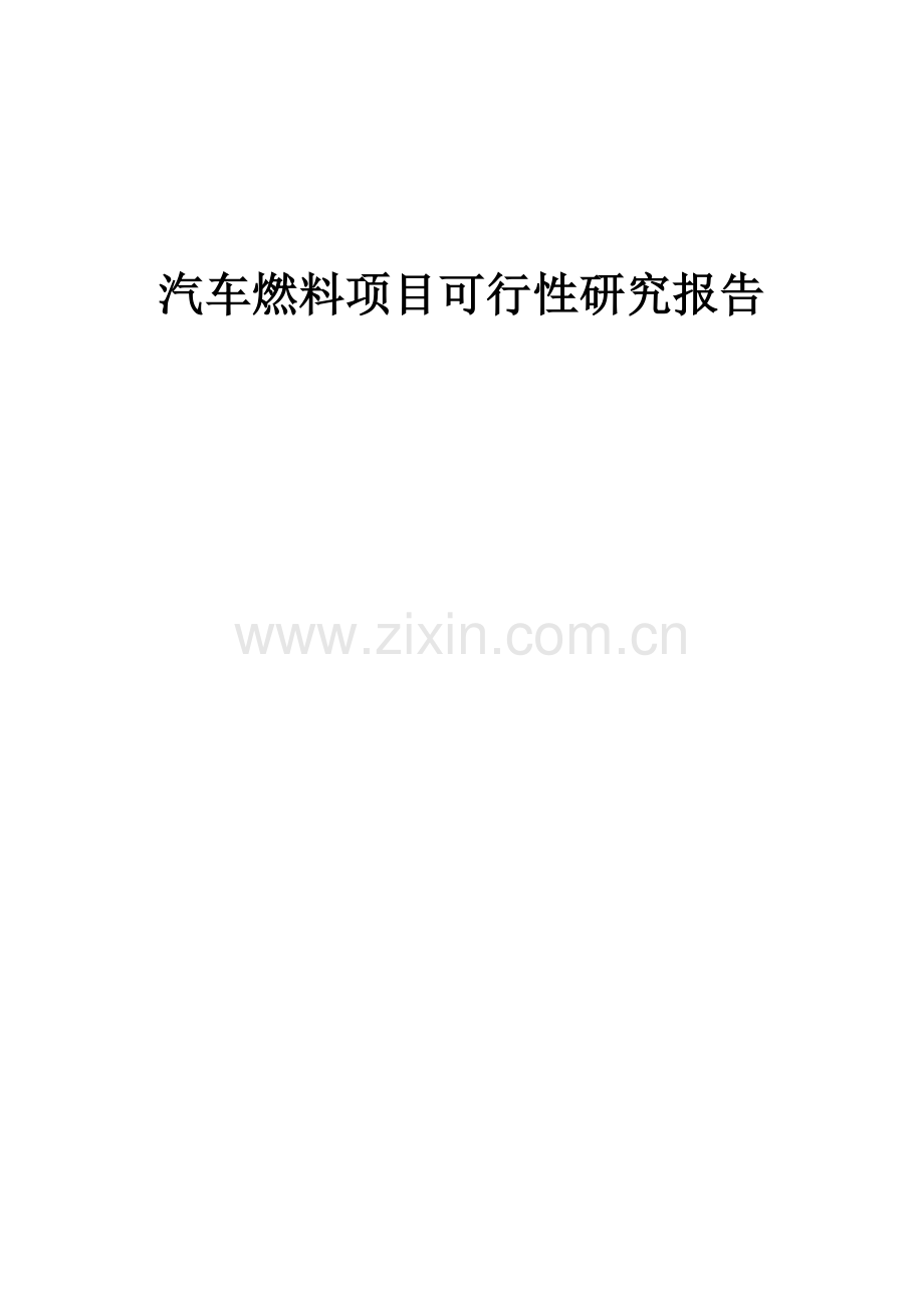 汽车燃料项目可行性研究报告.docx_第1页