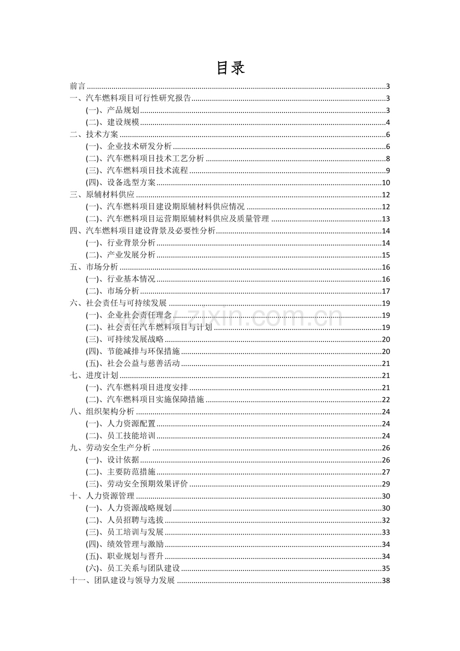 汽车燃料项目可行性研究报告.docx_第2页