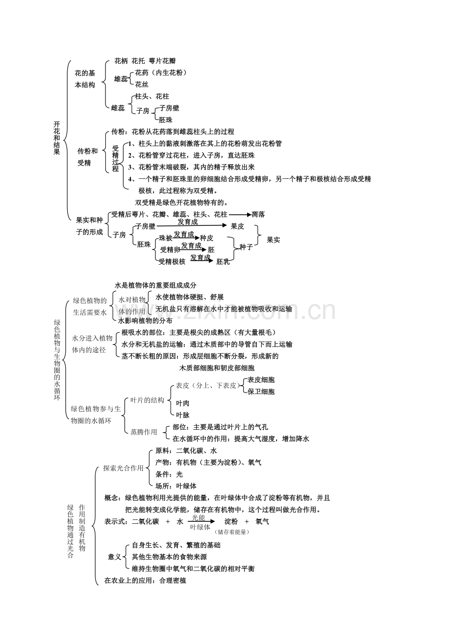 初一下册生物框架.doc_第2页