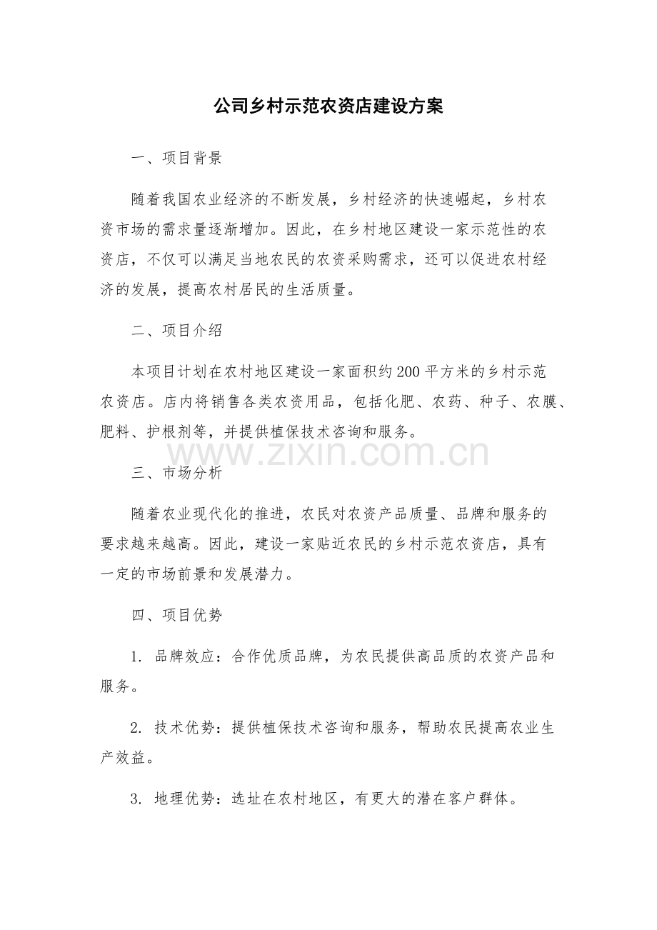 公司乡村示范农资店建设方案.docx_第1页