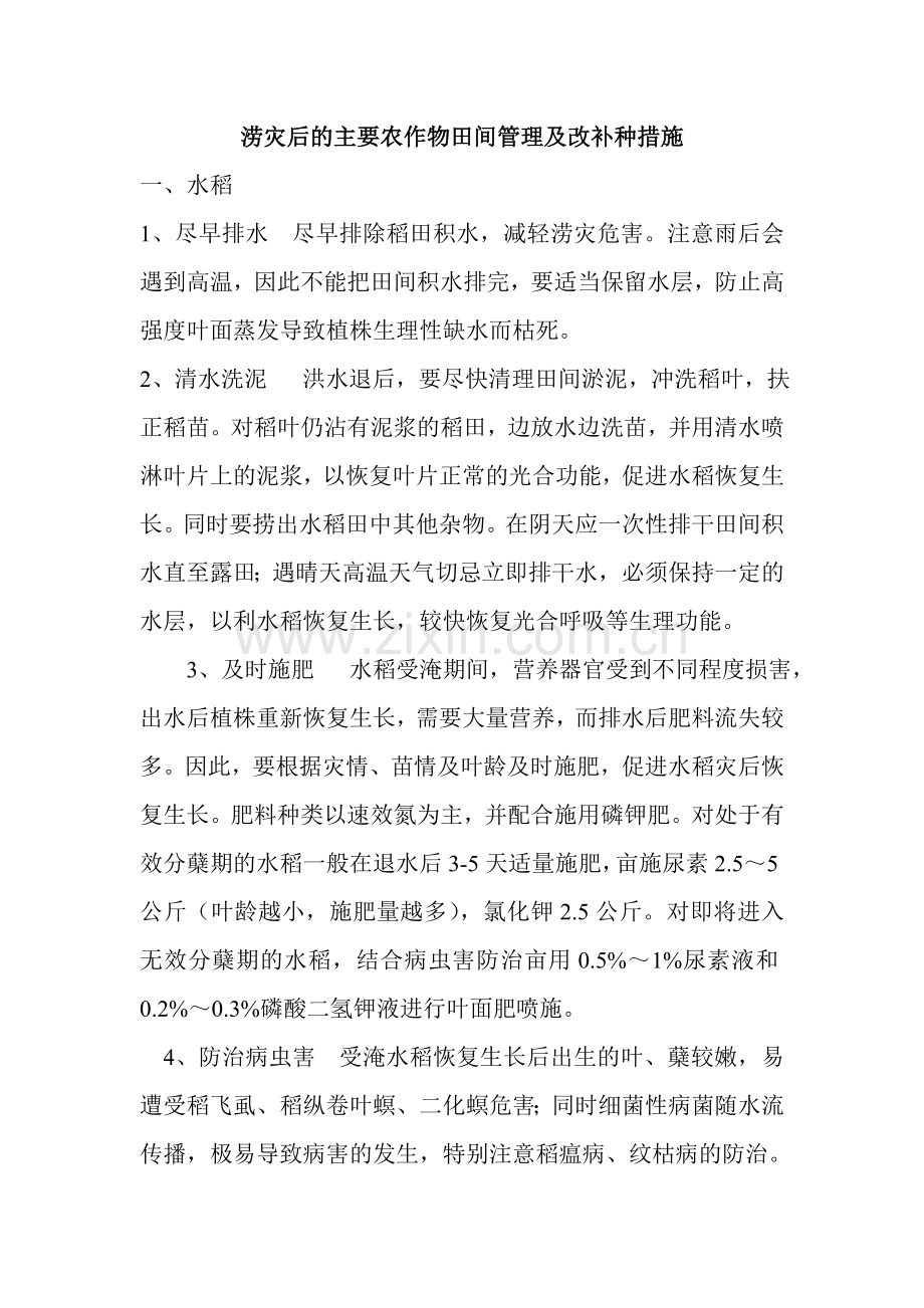 涝灾后的主要农作物田间管理及改补种措施.doc_第1页
