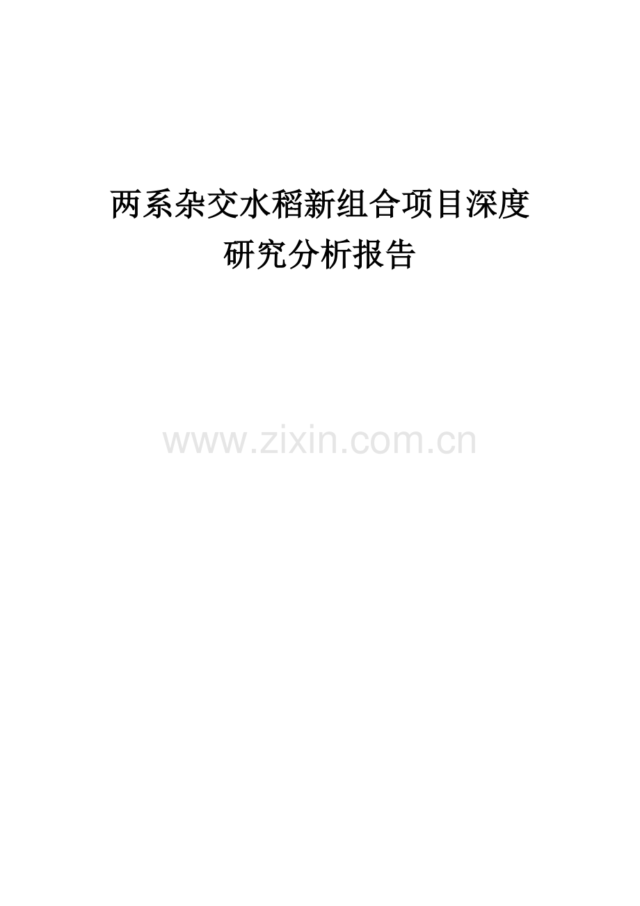 两系杂交水稻新组合项目深度研究分析报告.docx_第1页
