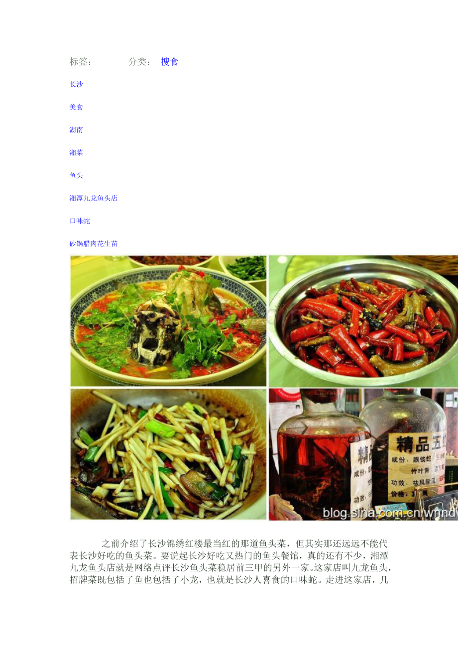 气势磅礴的霸气雄鱼头【湘潭九龙鱼头店】.doc_第1页