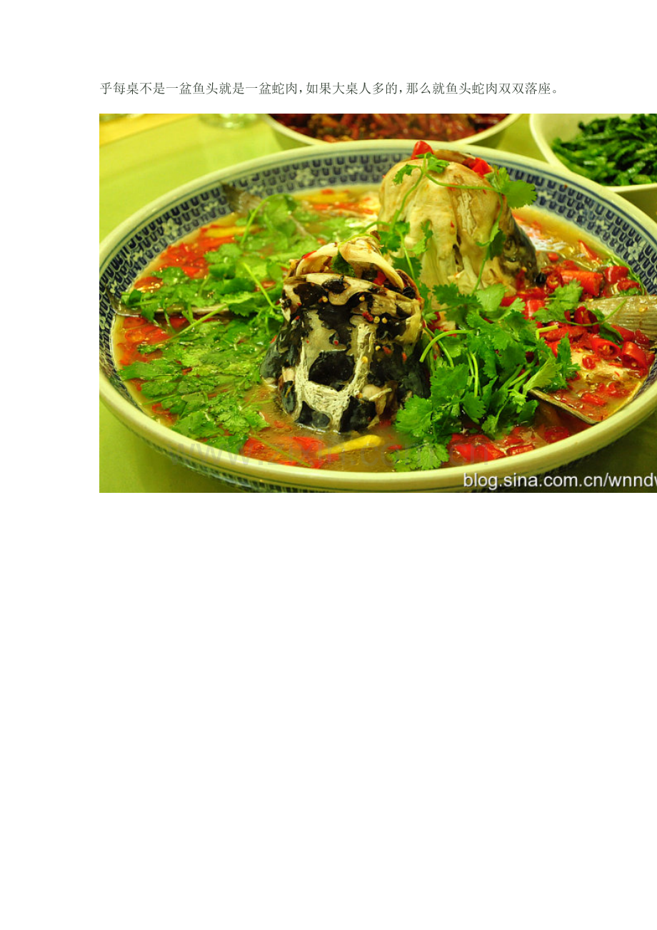 气势磅礴的霸气雄鱼头【湘潭九龙鱼头店】.doc_第2页