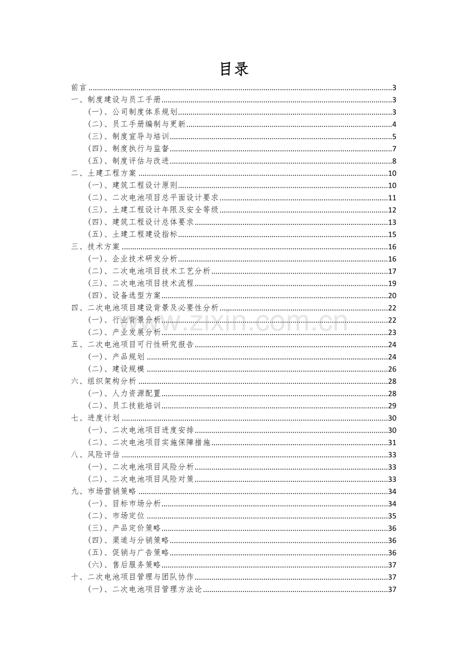 二次电池项目投资分析及可行性报告.docx_第2页