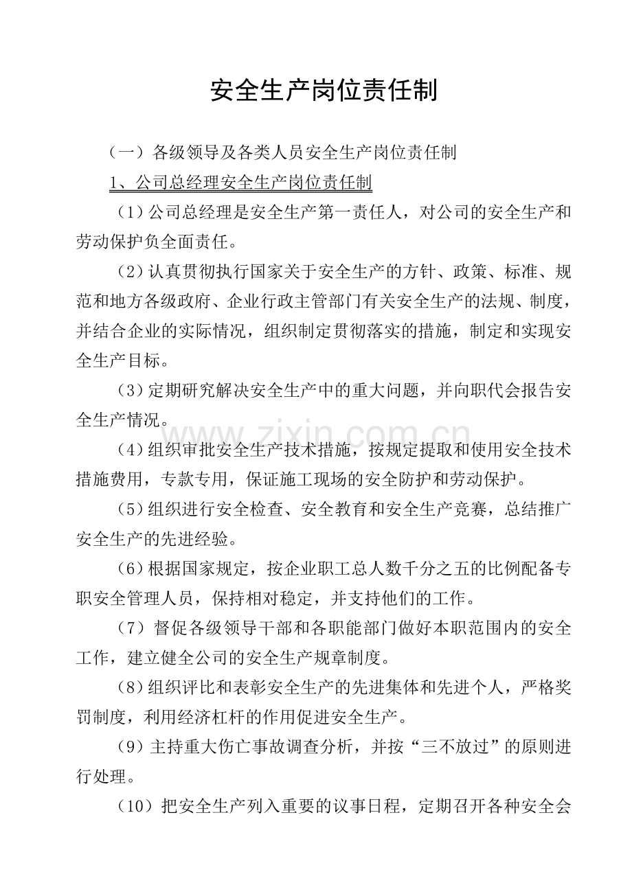 新安全资料之(二)安全生产责任制.doc_第2页