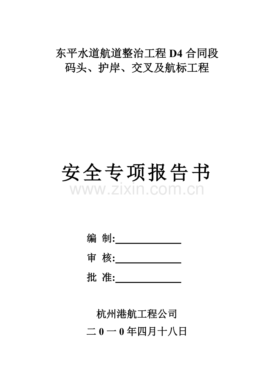 安全专项报告书.docx_第1页