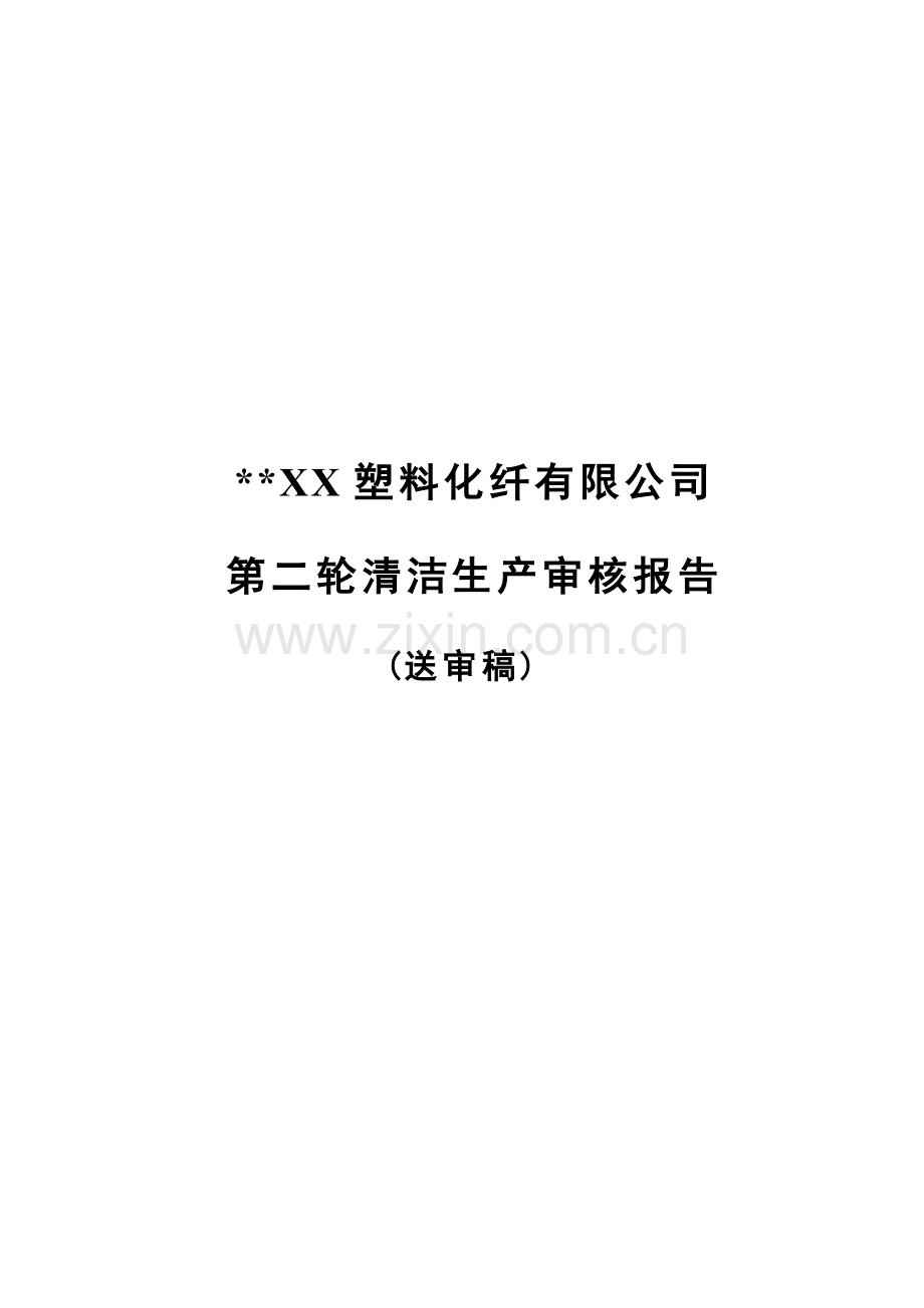 某塑料化纤有限公司清洁生产审核报告.docx_第1页